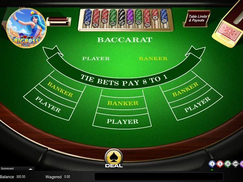 thuật ngữ trong baccarat