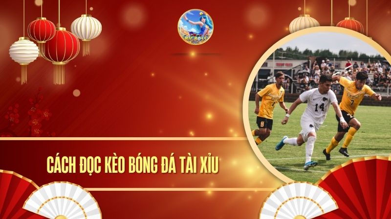 cách đọc kèo bóng đa tài xỉu
