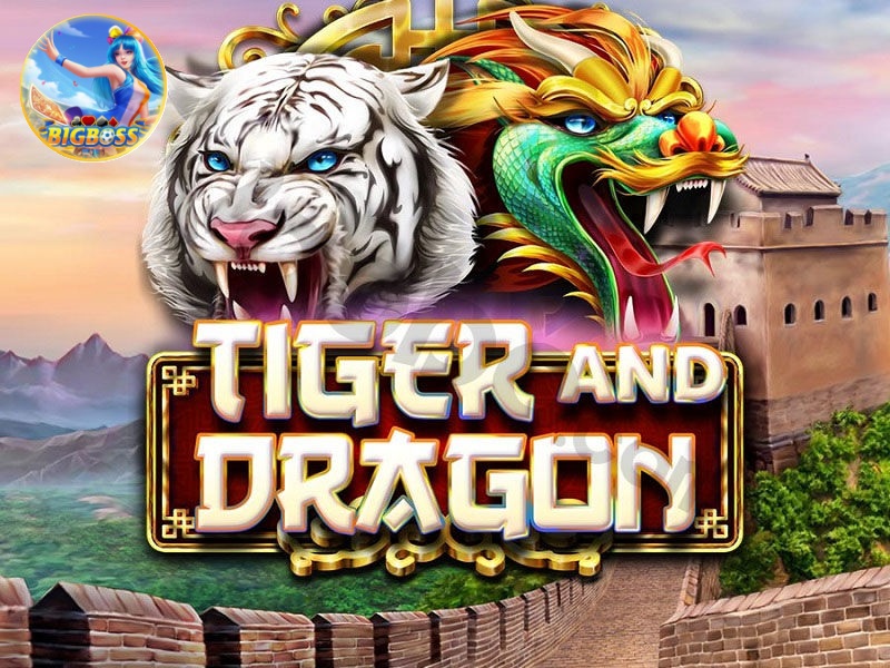tiger and dragon